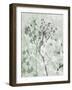 Tranquil Grass 1-Diane Stimson-Framed Art Print