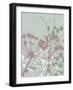 Tranquil Grass 2-Diane Stimson-Framed Art Print