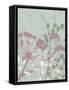 Tranquil Grass 2-Diane Stimson-Framed Stretched Canvas