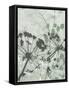 Tranquil Grass 2-Diane Stimson-Framed Stretched Canvas