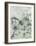 Tranquil Grass 2-Diane Stimson-Framed Art Print