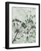 Tranquil Grass 2-Diane Stimson-Framed Art Print