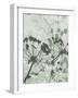 Tranquil Grass 2-Diane Stimson-Framed Art Print
