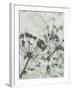 Tranquil Grass 2-Diane Stimson-Framed Premium Giclee Print