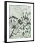 Tranquil Grass 2-Diane Stimson-Framed Premium Giclee Print