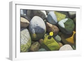 Tranquil Harbor-Stephen Stavast-Framed Giclee Print