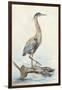 Tranquil Heron-Jacob Q-Framed Art Print