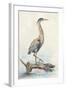 Tranquil Heron-Jacob Q-Framed Art Print