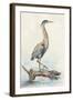 Tranquil Heron-Jacob Q-Framed Art Print