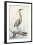 Tranquil Heron-Jacob Q-Framed Art Print