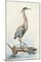 Tranquil Heron-Jacob Q-Mounted Art Print