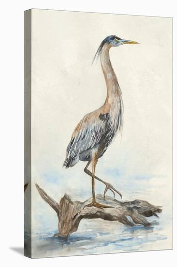 Tranquil Heron-Jacob Q-Stretched Canvas