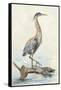 Tranquil Heron-Jacob Q-Framed Stretched Canvas