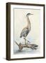 Tranquil Heron-Jacob Q-Framed Art Print