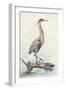 Tranquil Heron-Jacob Q-Framed Art Print