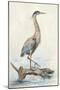 Tranquil Heron-Jacob Q-Mounted Art Print