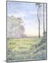 Tranquil Horizon I-Virginia A. Roper-Mounted Art Print