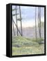 Tranquil Horizon II-Virginia A. Roper-Framed Stretched Canvas