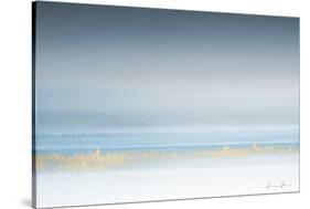 Tranquil Horizon-Denise Brown-Stretched Canvas