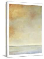 Tranquil I-Tim O'toole-Stretched Canvas