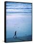 Tranquil Jog-null-Framed Stretched Canvas