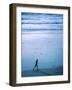 Tranquil Jog-null-Framed Photographic Print