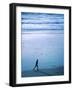 Tranquil Jog-null-Framed Photographic Print