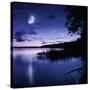Tranquil Lake Against Starry Sky, Moon and Falling Meteorites, Russia-null-Stretched Canvas
