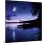 Tranquil Lake Against Starry Sky, Moon and Falling Meteorites, Russia-null-Mounted Photographic Print