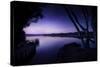 Tranquil Lake and Trees Against Starry Sky, Moscow, Russia-null-Stretched Canvas