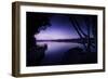 Tranquil Lake and Trees Against Starry Sky, Moscow, Russia-null-Framed Photographic Print