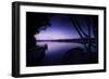 Tranquil Lake and Trees Against Starry Sky, Moscow, Russia-null-Framed Photographic Print