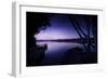 Tranquil Lake and Trees Against Starry Sky, Moscow, Russia-null-Framed Photographic Print