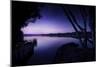 Tranquil Lake and Trees Against Starry Sky, Moscow, Russia-null-Mounted Photographic Print