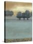 Tranquil Landscape II-Norman Wyatt Jr.-Stretched Canvas