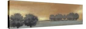 Tranquil Landscape V-Norman Wyatt Jr.-Stretched Canvas