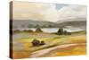 Tranquil Landscape-Silvia Vassileva-Stretched Canvas