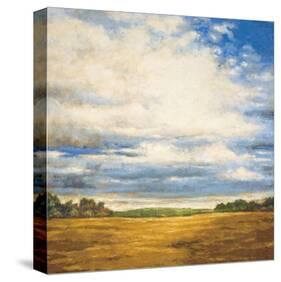 Tranquil Meadow-Zenon Burdy-Stretched Canvas