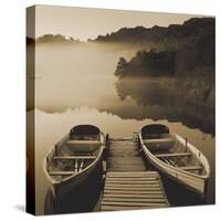 Tranquil Mist II-Peter Adams-Stretched Canvas