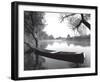 Tranquil Morning-null-Framed Art Print