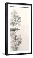 Tranquil Morning-Nicholas Bell-Framed Photographic Print