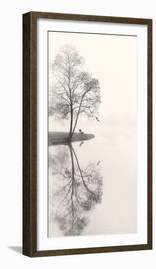 Tranquil Morning-Nicholas Bell-Framed Photographic Print