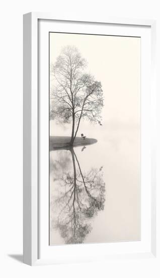 Tranquil Morning-Nicholas Bell-Framed Photographic Print