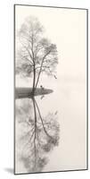 Tranquil Morning-Nicholas Bell-Mounted Photographic Print