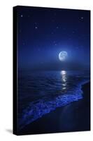 Tranquil Ocean at Night Against Starry Sky and Moon-null-Stretched Canvas