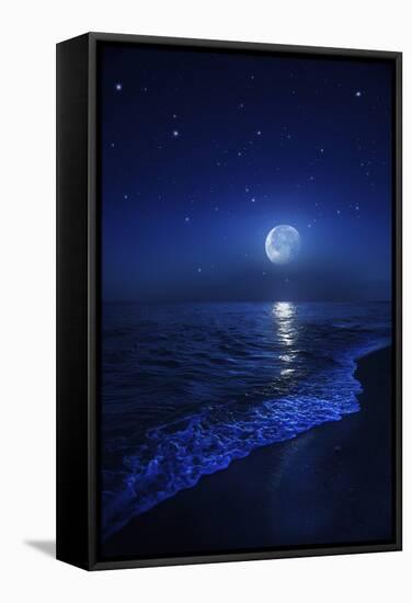 Tranquil Ocean at Night Against Starry Sky and Moon-null-Framed Stretched Canvas