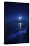 Tranquil Ocean at Night Against Starry Sky and Moon-null-Stretched Canvas