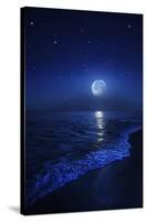 Tranquil Ocean at Night Against Starry Sky and Moon-null-Stretched Canvas