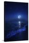 Tranquil Ocean at Night Against Starry Sky and Moon-null-Stretched Canvas