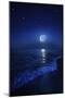 Tranquil Ocean at Night Against Starry Sky and Moon-null-Mounted Premium Photographic Print